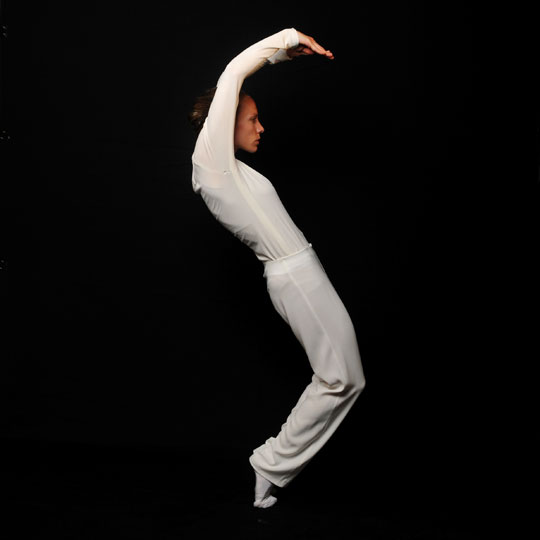 Imagen de Dance Writer